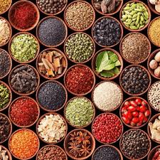 Gia vị - Hải Anh